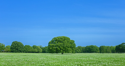 グリーンロジスティクスとは？